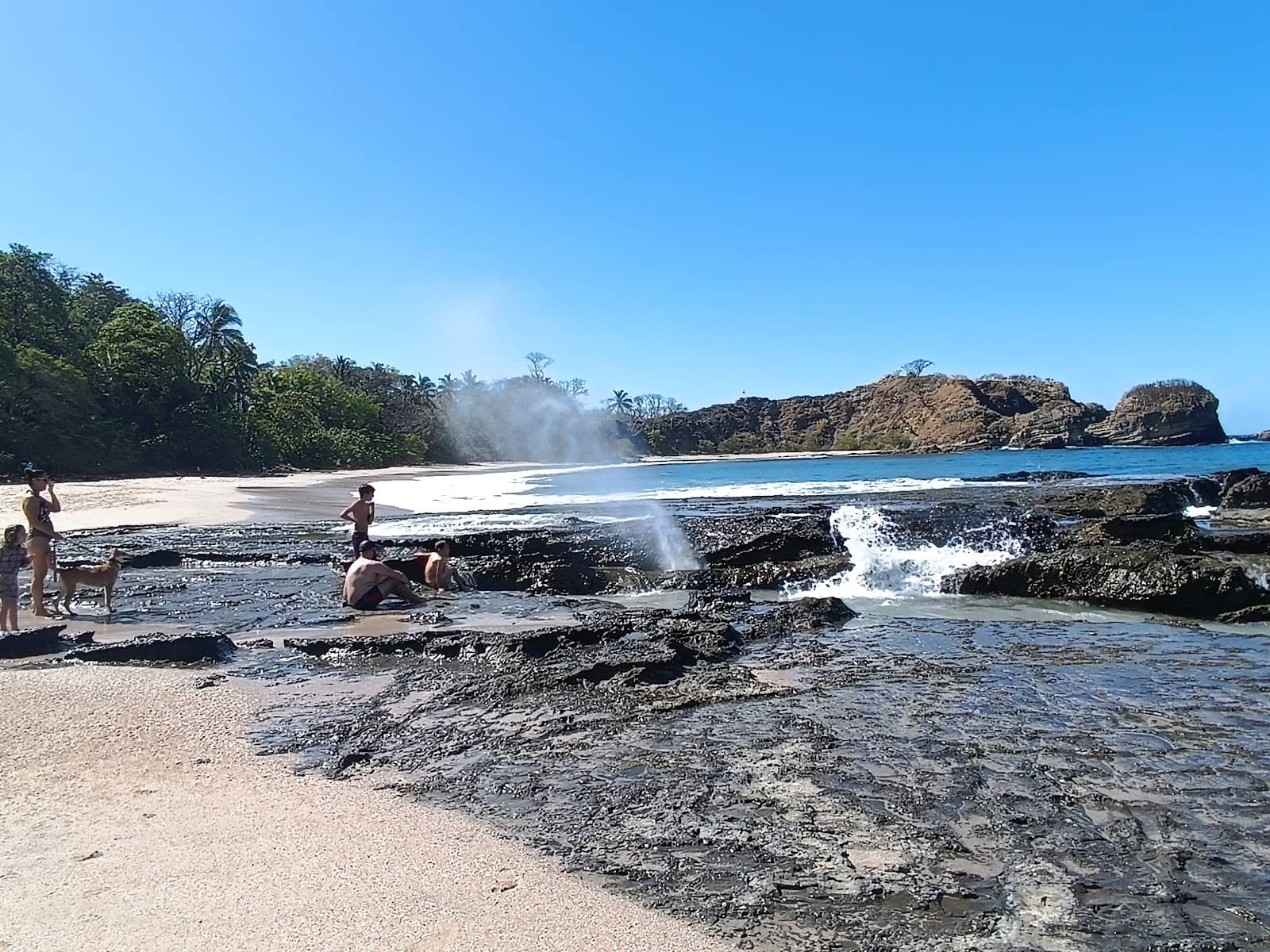 Tide Pools Exploration