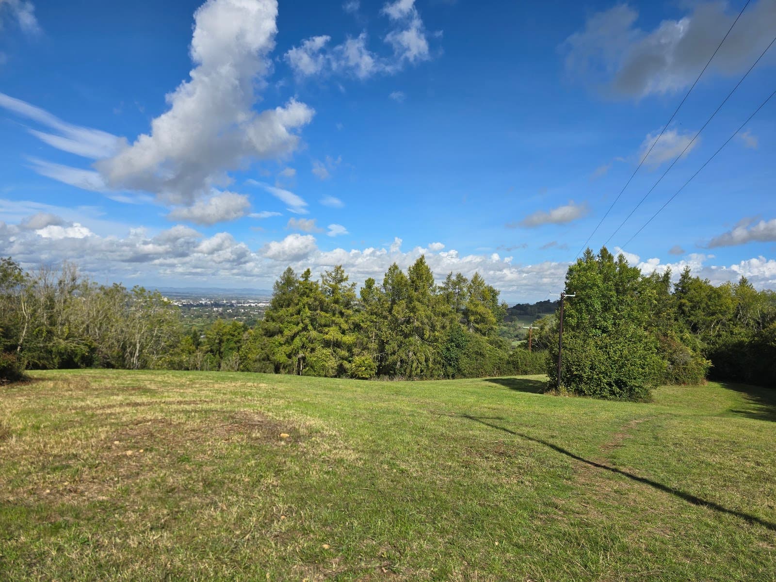Lineover Wood - Image 1
