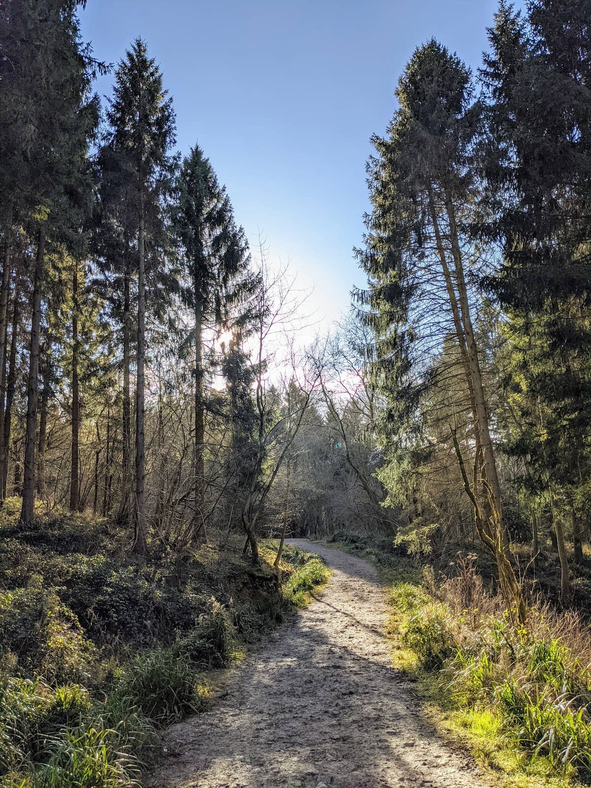 Vertical photo