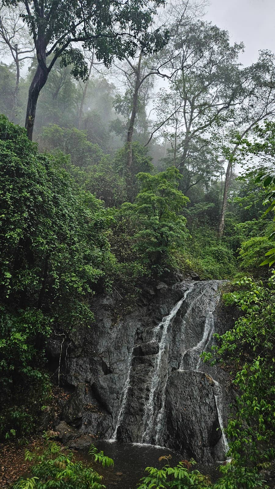 Vertical photo