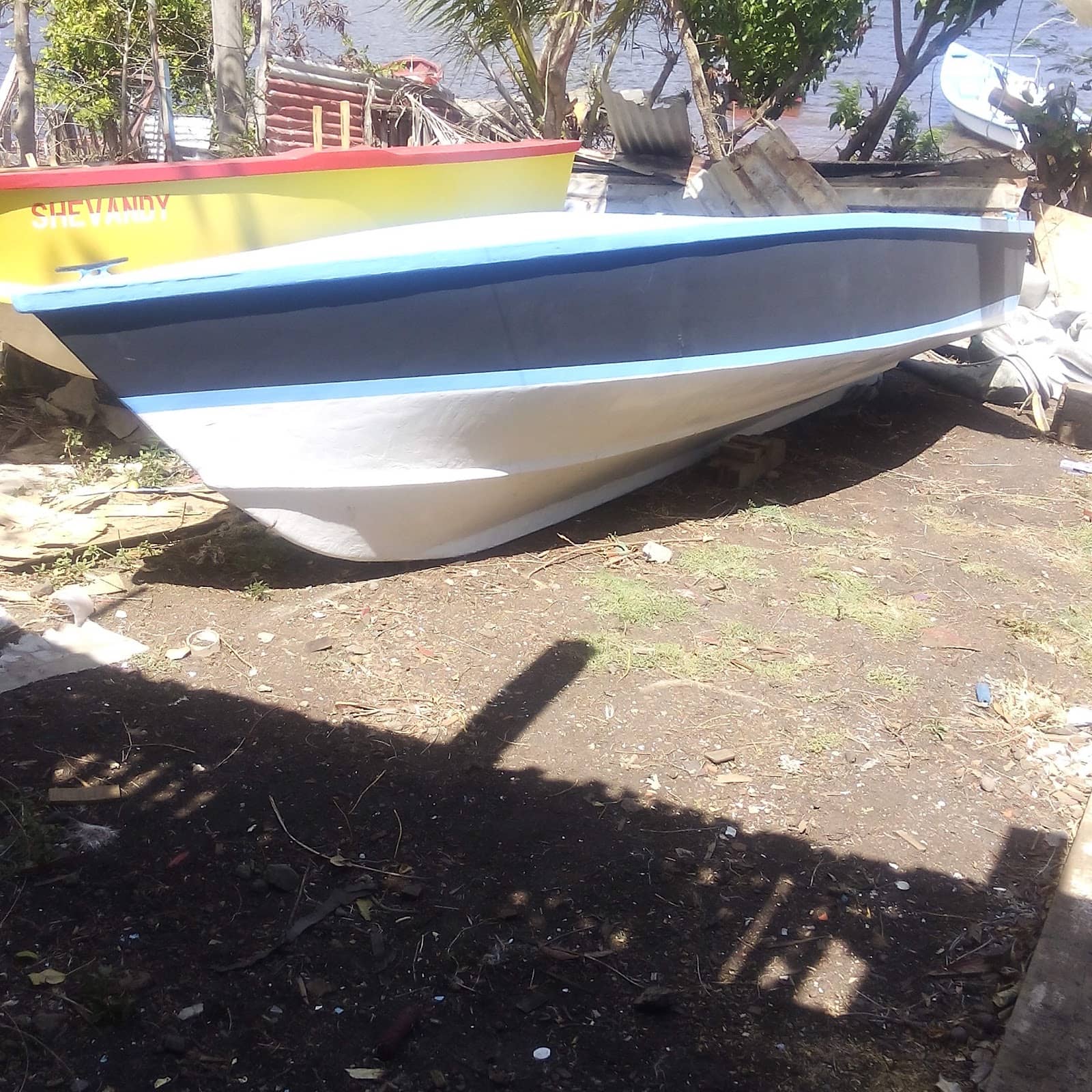 Tropical Event Vibes