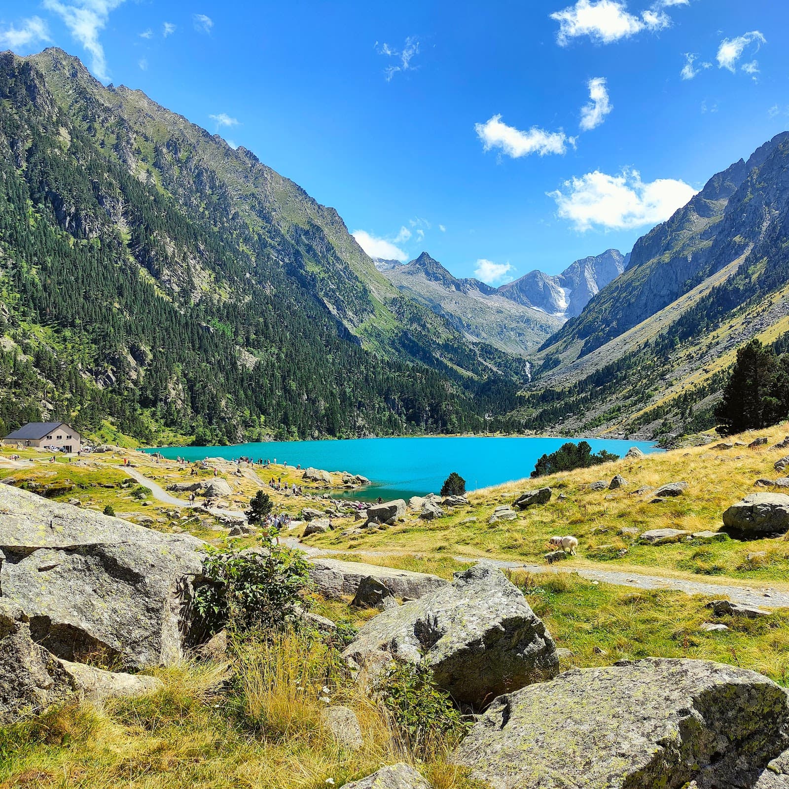 Pyrenees National Park (Cauterets sector) - Image 1