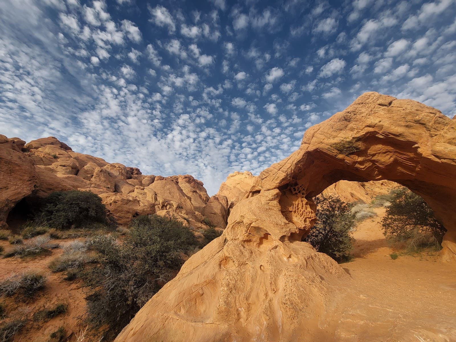 Babylon Arch - Image 1