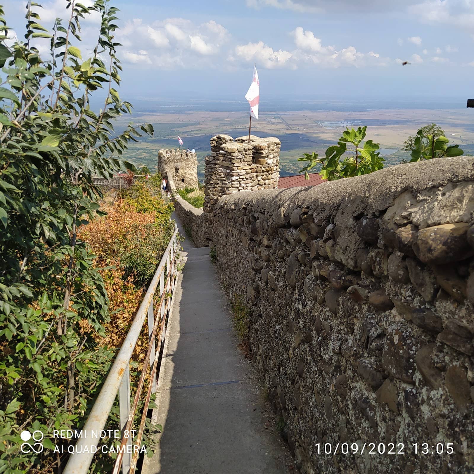 Vertical photo