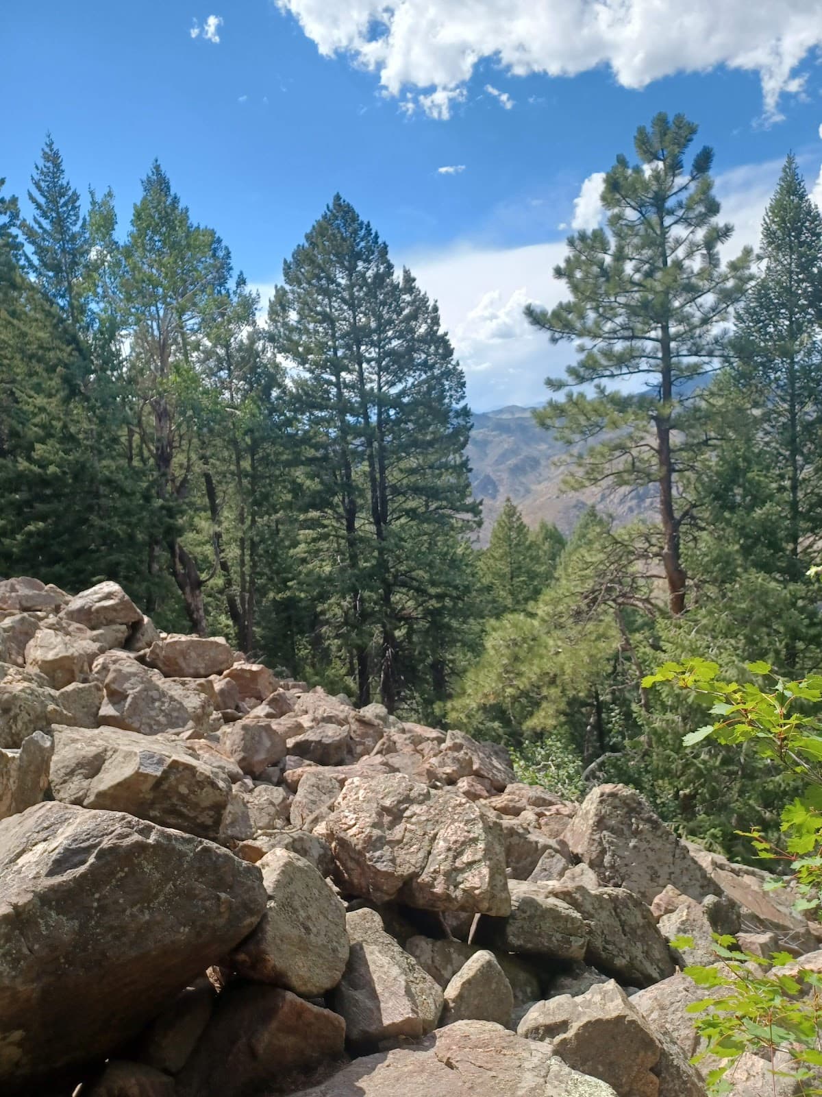 Beaver Brook Trail - Image 1