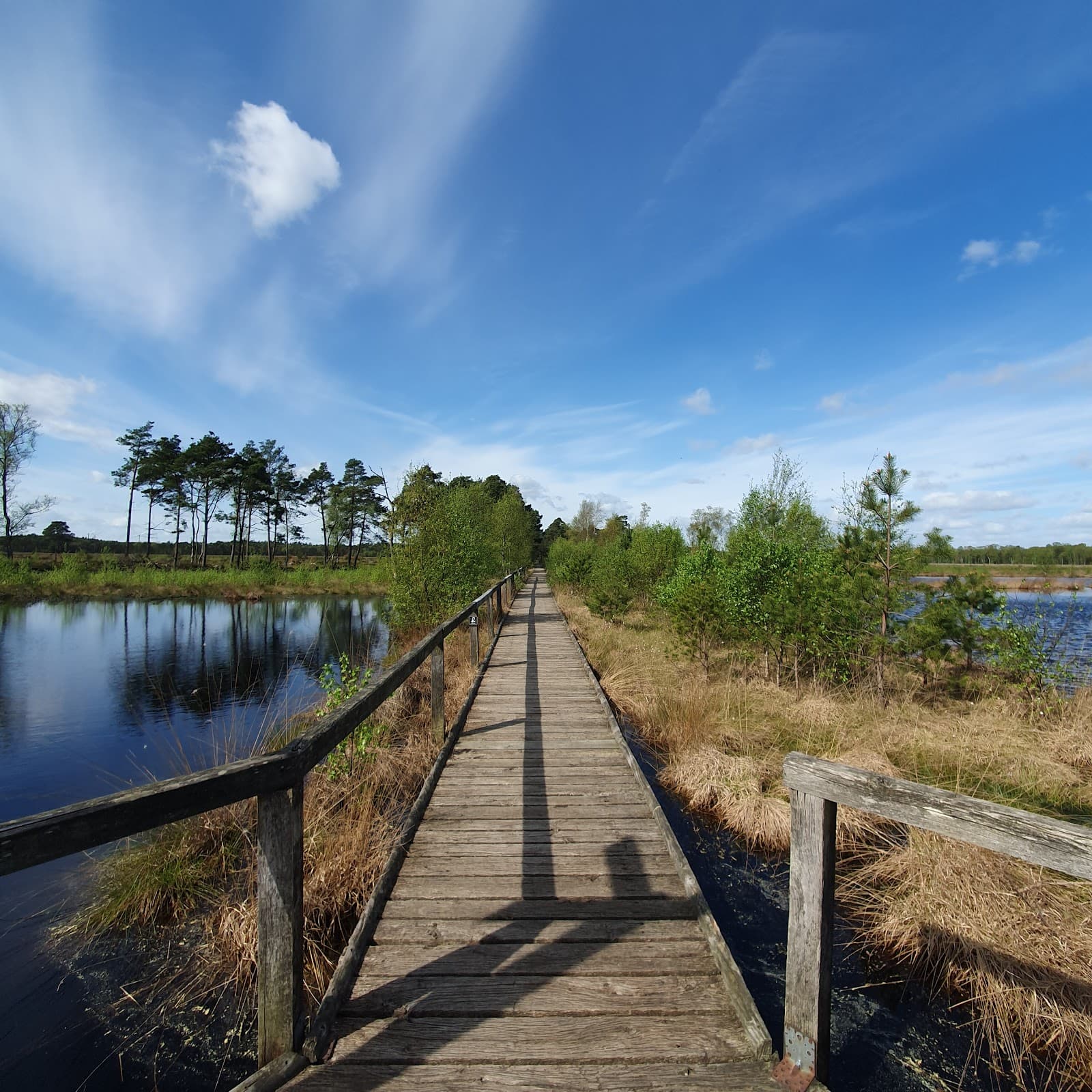 Pietzmoor - Image 1