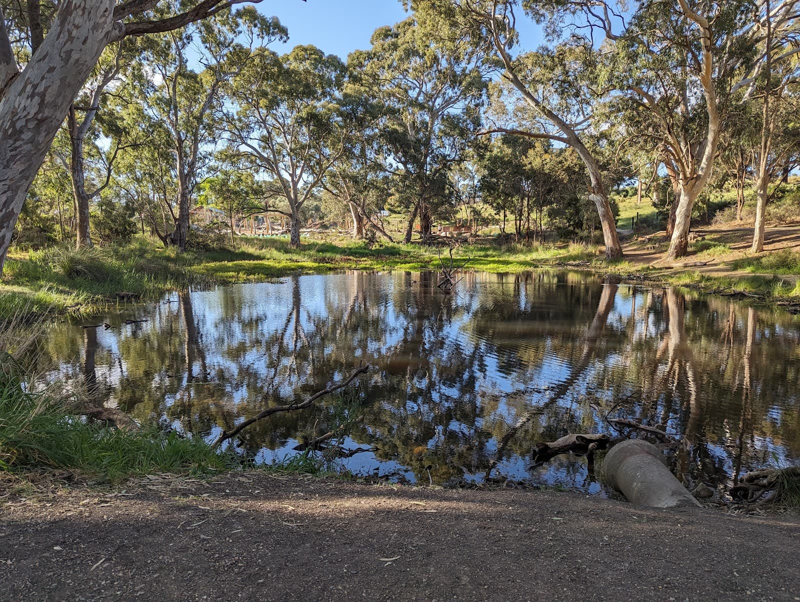 Glenthorne National Park Ityamaiitpinna Yarta - Image 1