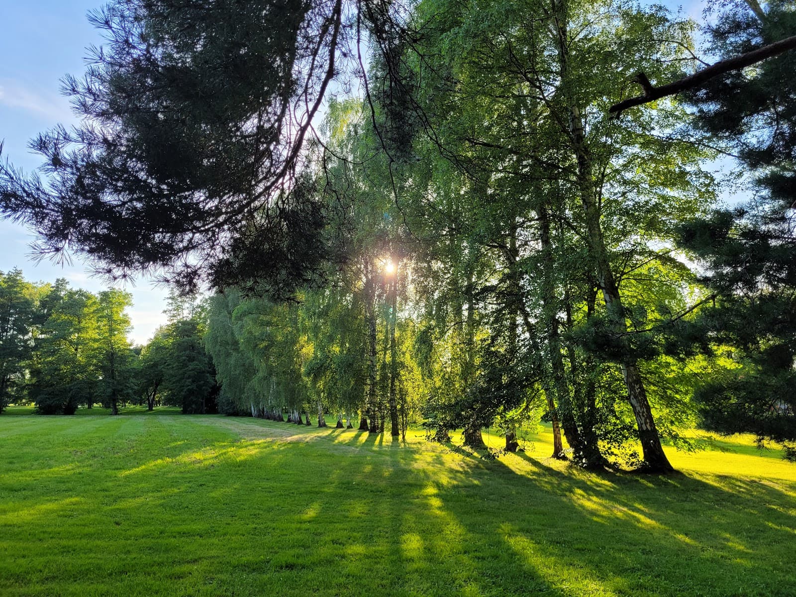 Stromovka Park - Image 1