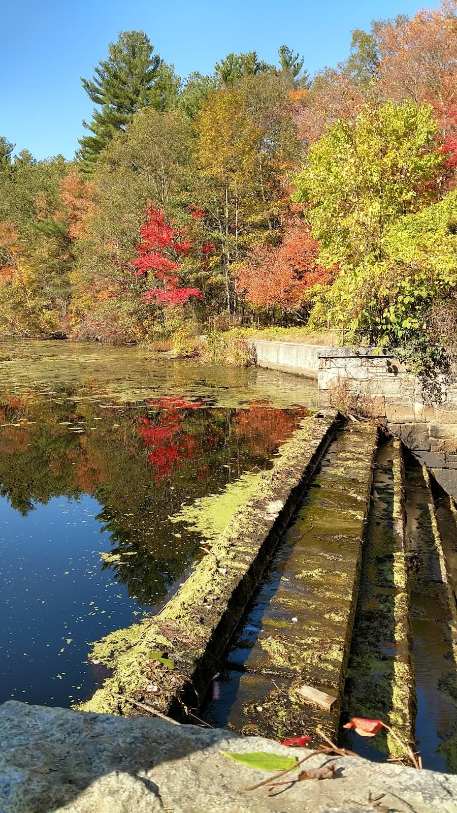Stony Brook Wildlife Sanctuary - Image 1