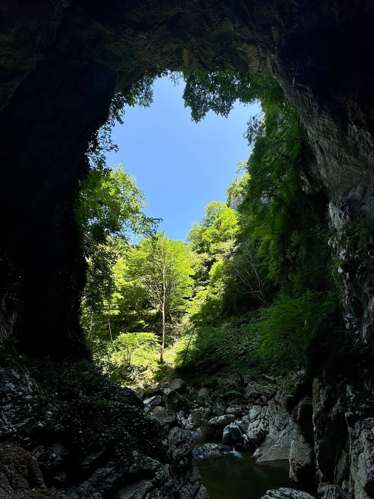 Vertical photo