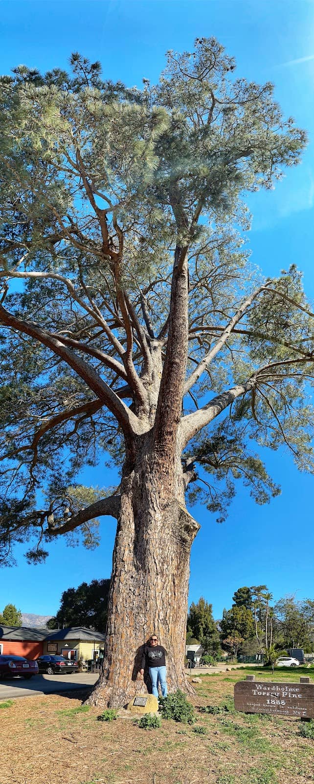 Vertical photo
