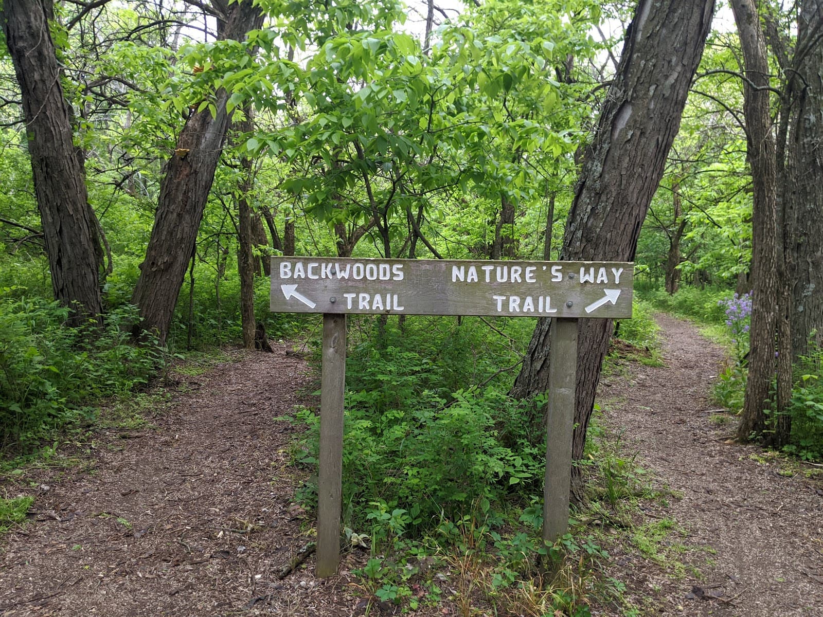 Clinton Dam & Overlook - Image 1