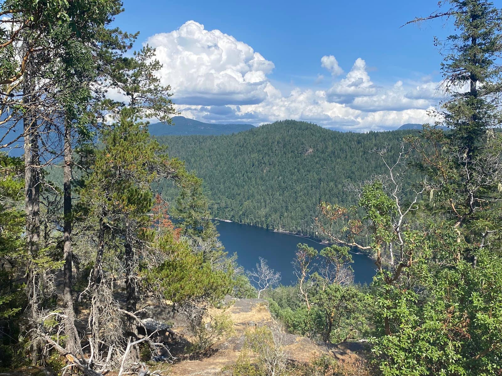 Cranberry Lake Glimpse