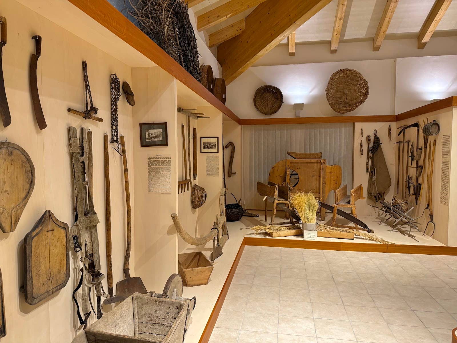 Geology and Paleontology