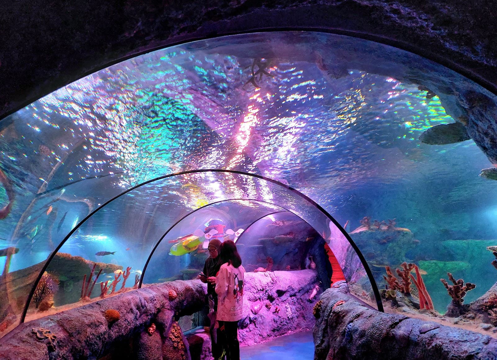 SEA LIFE Malaysia - Image 1