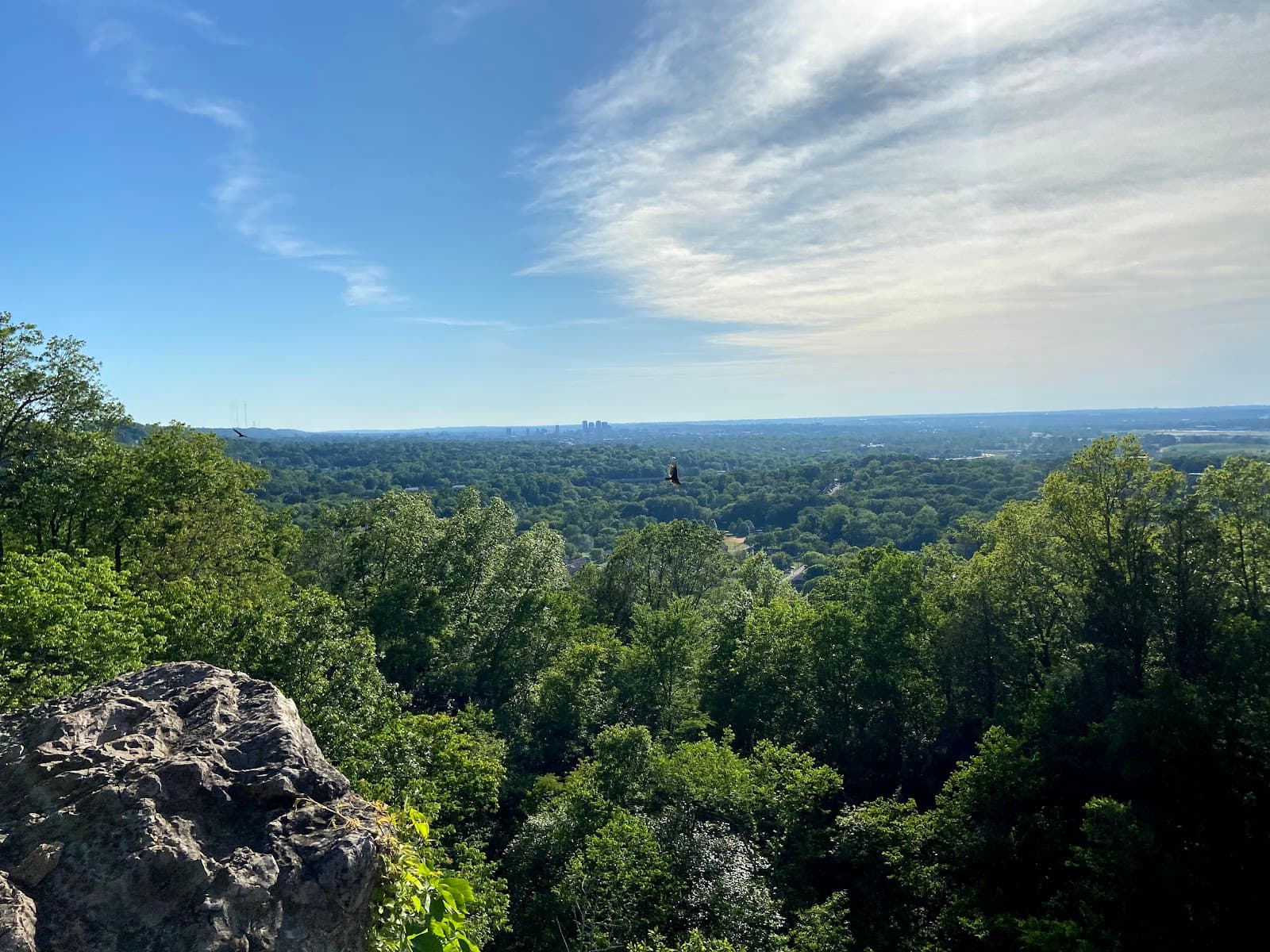 Ruffner Mountain Nature Preserve - Image 1