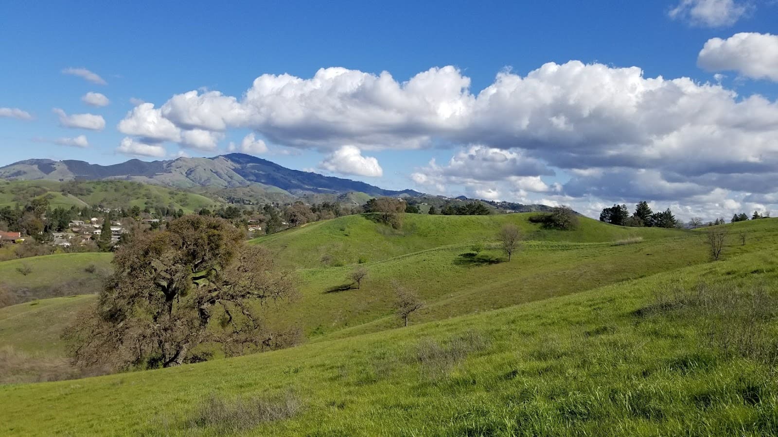Sugarloaf Open Space - Image 1