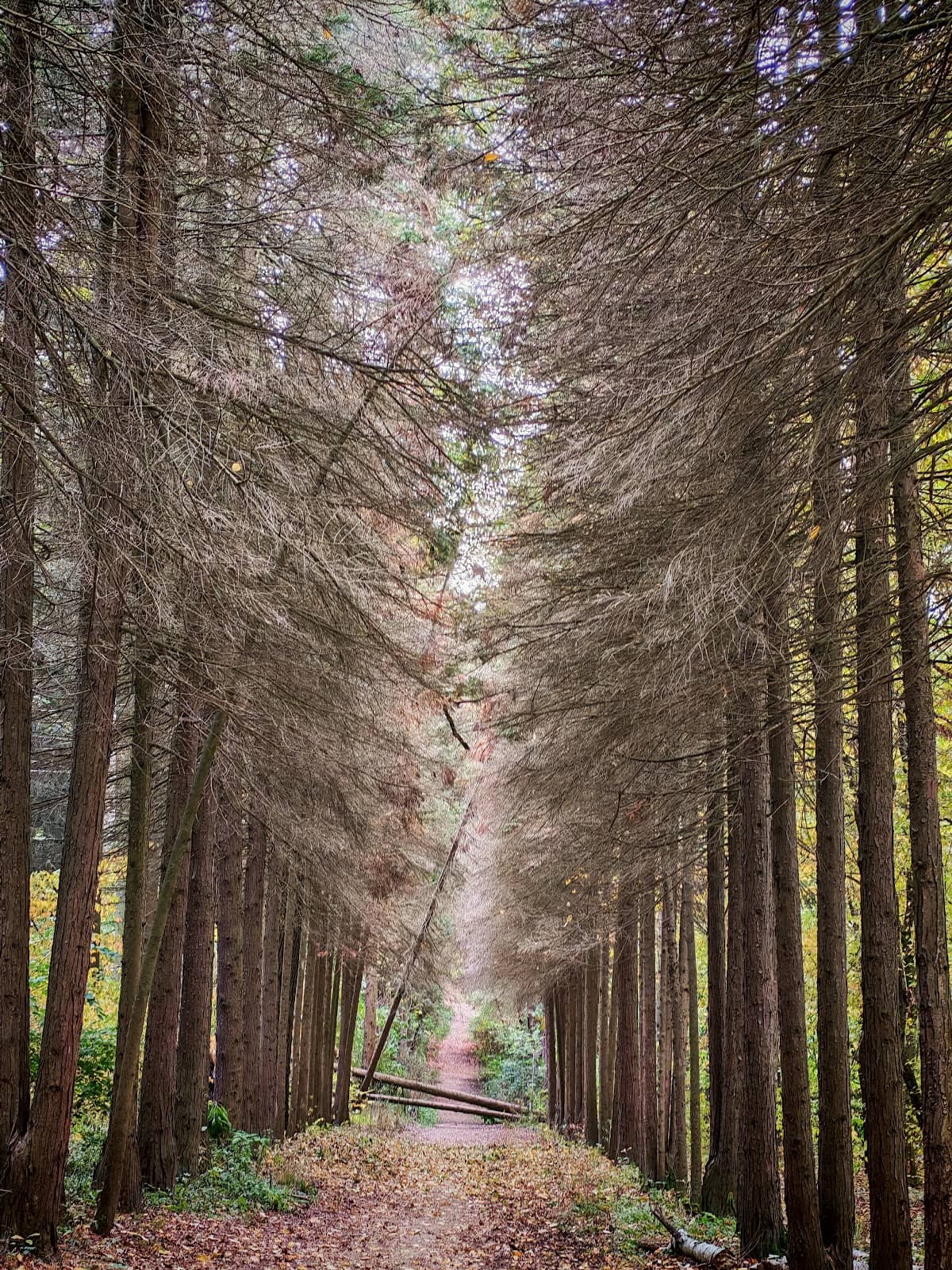 Vertical photo