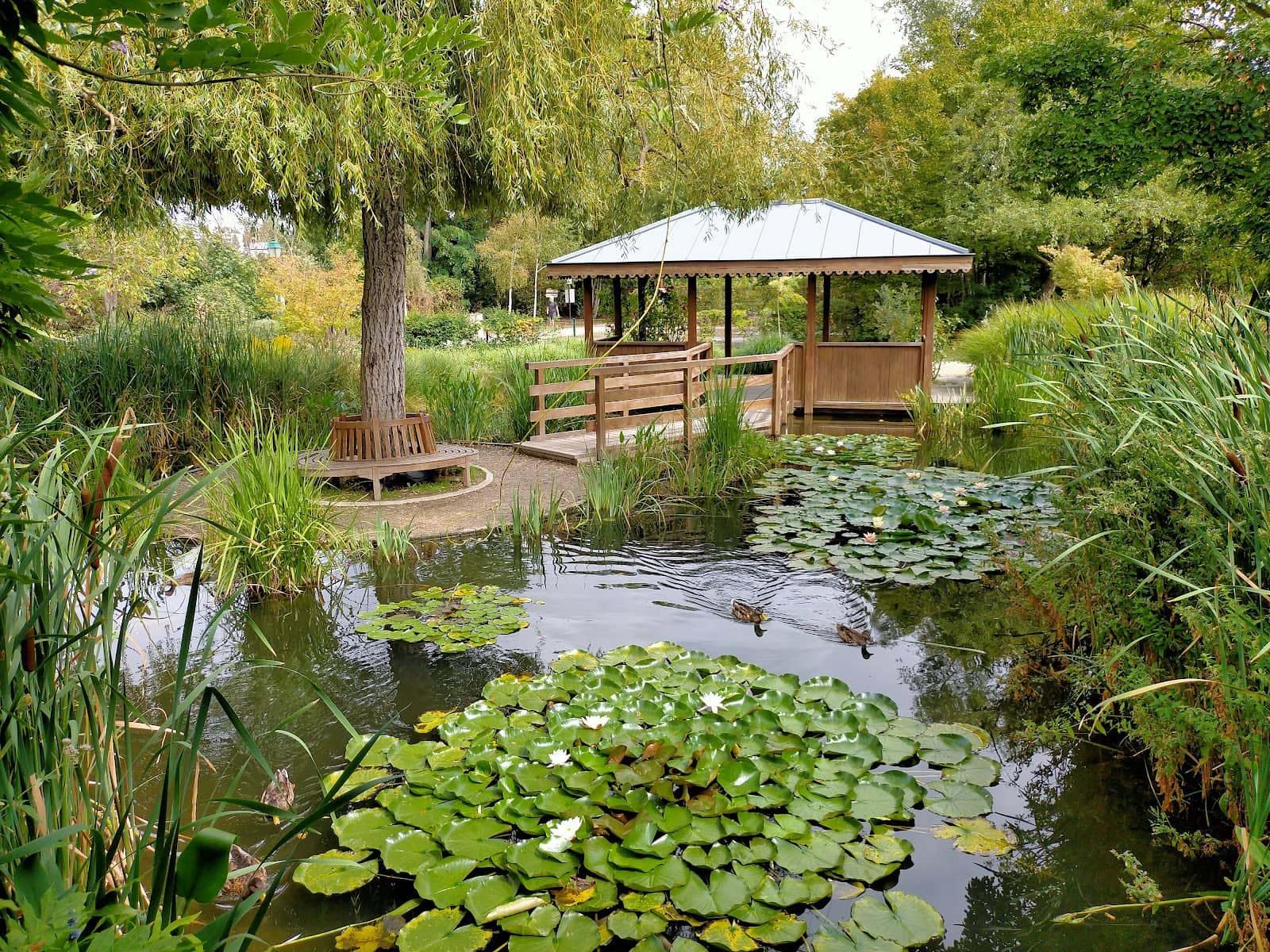 Vibrant Flower Displays