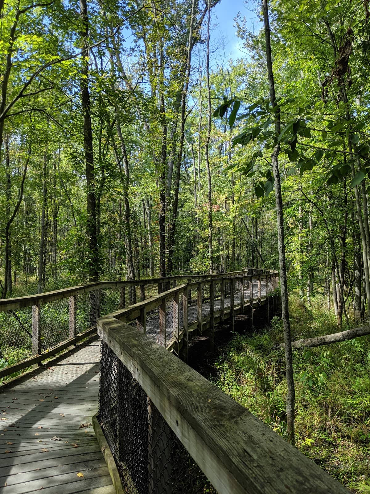 Visitor Center Exhibits