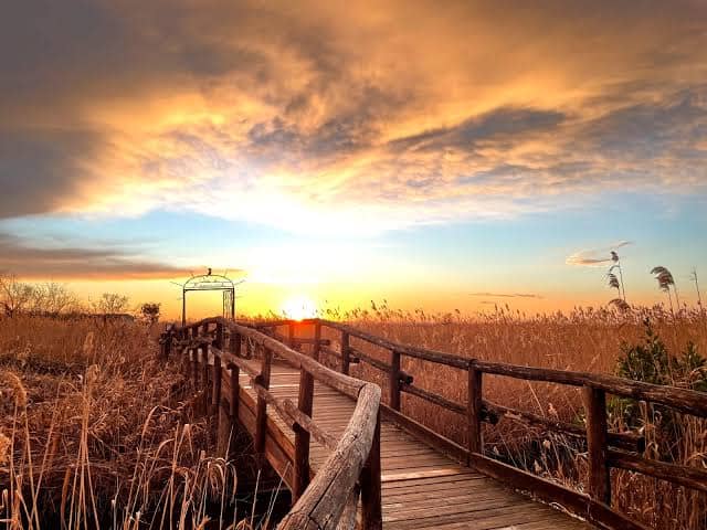 Lake Massaciuccoli Views