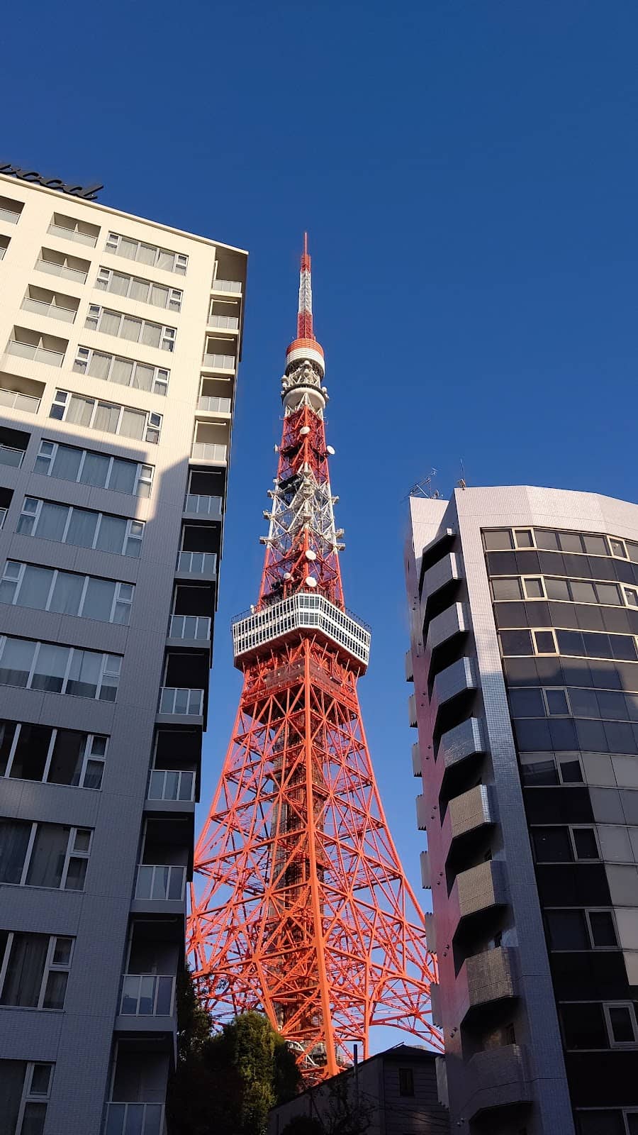 Vertical photo