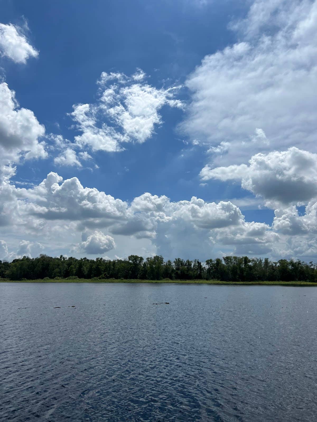 Relaxing Boat Cruise