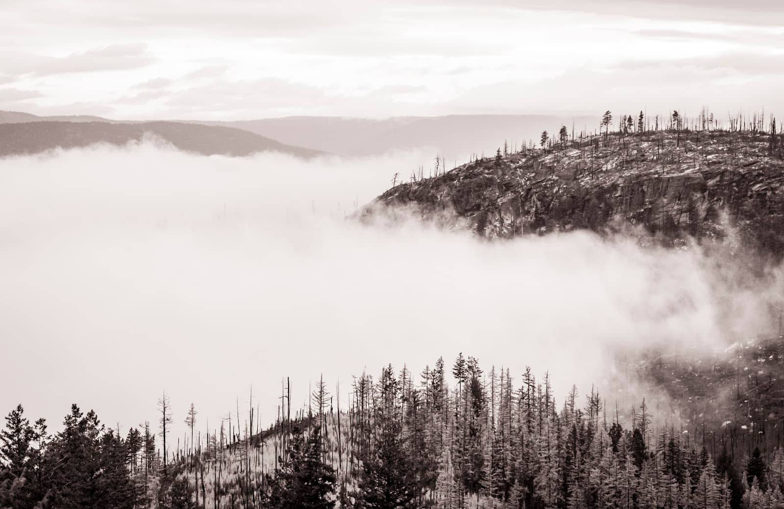 Wild Horse Canyon Loop