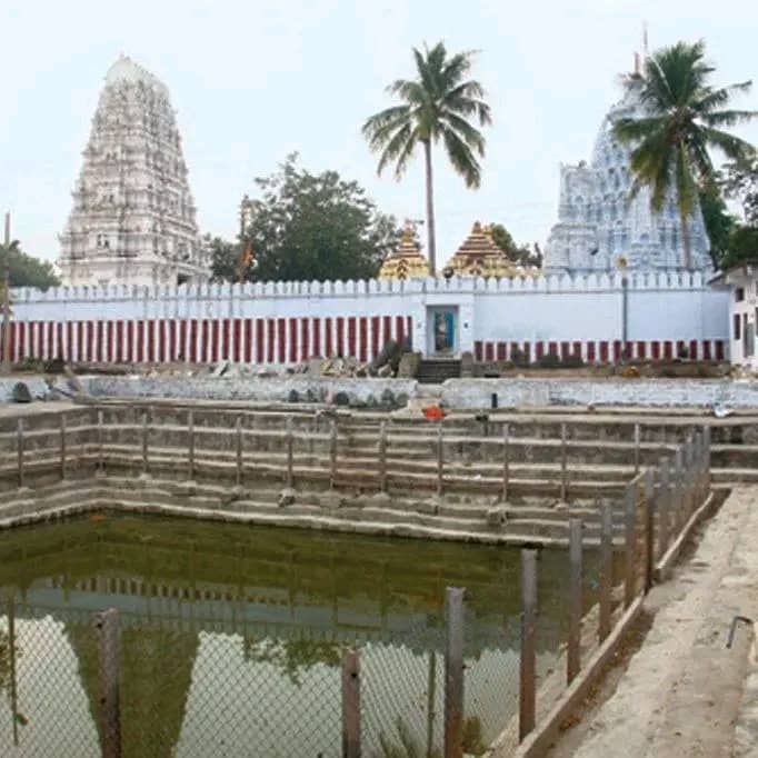 Temple Pond Shivalingams