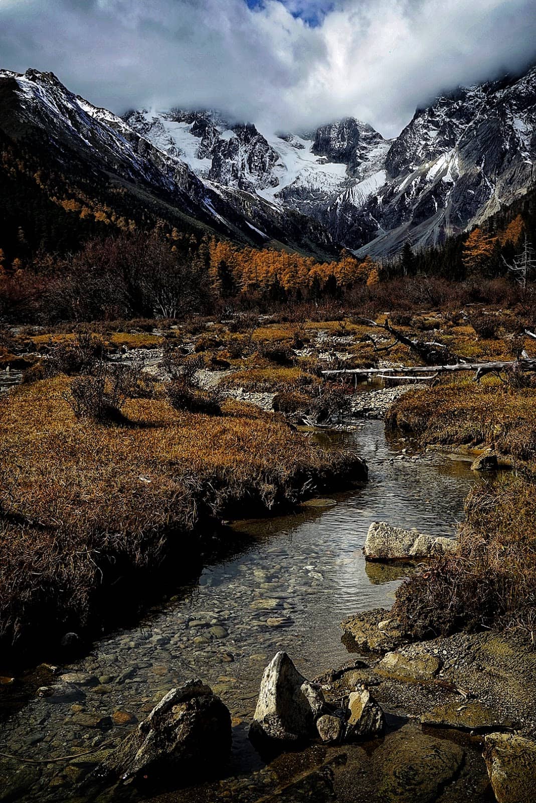 Vertical photo