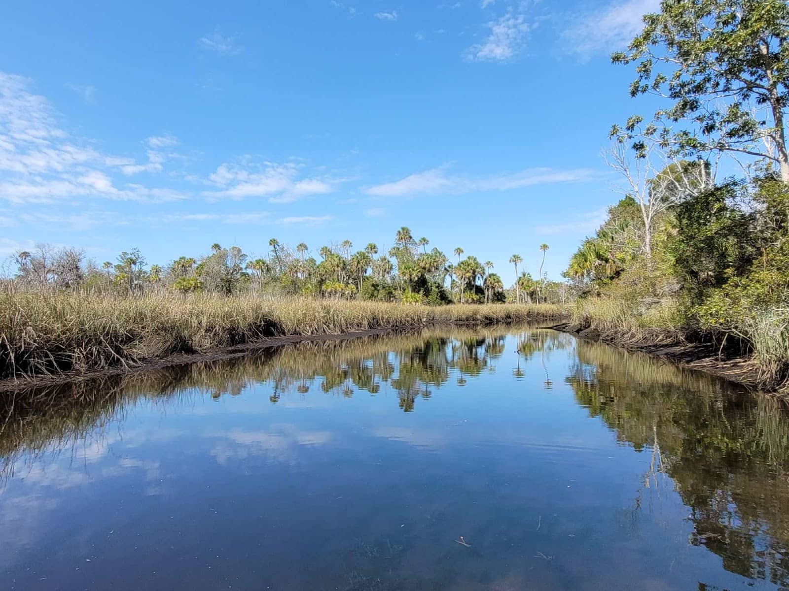 Kings Bay Wildlife Viewing