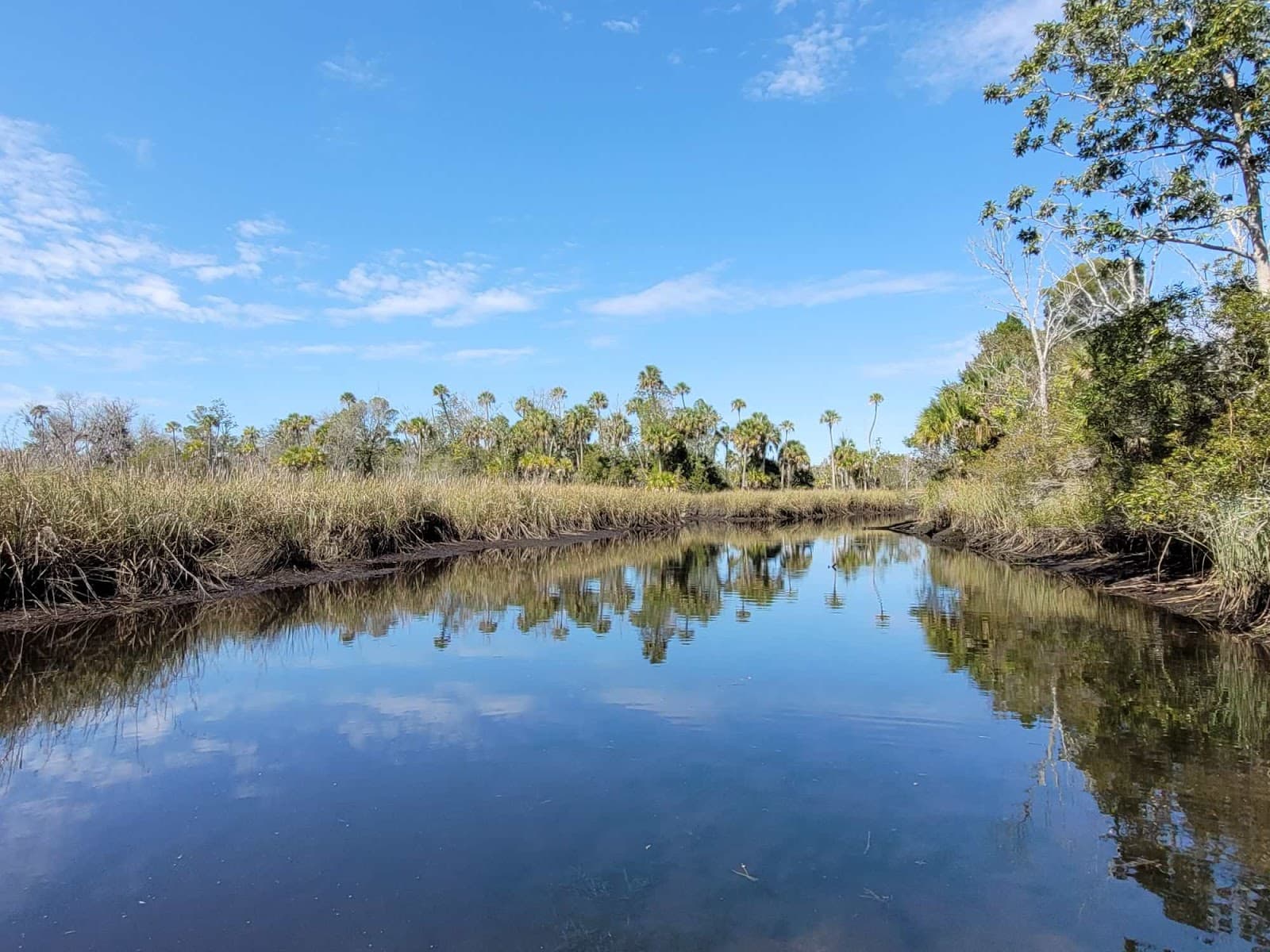 Kings Bay Georgia - Image 1