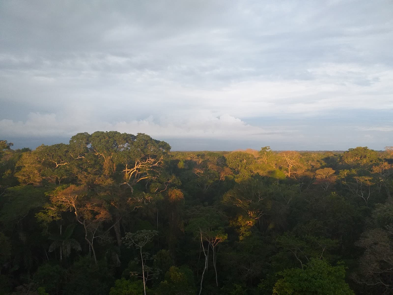 Centro Ñape Ethnobotanical Garden - Image 1