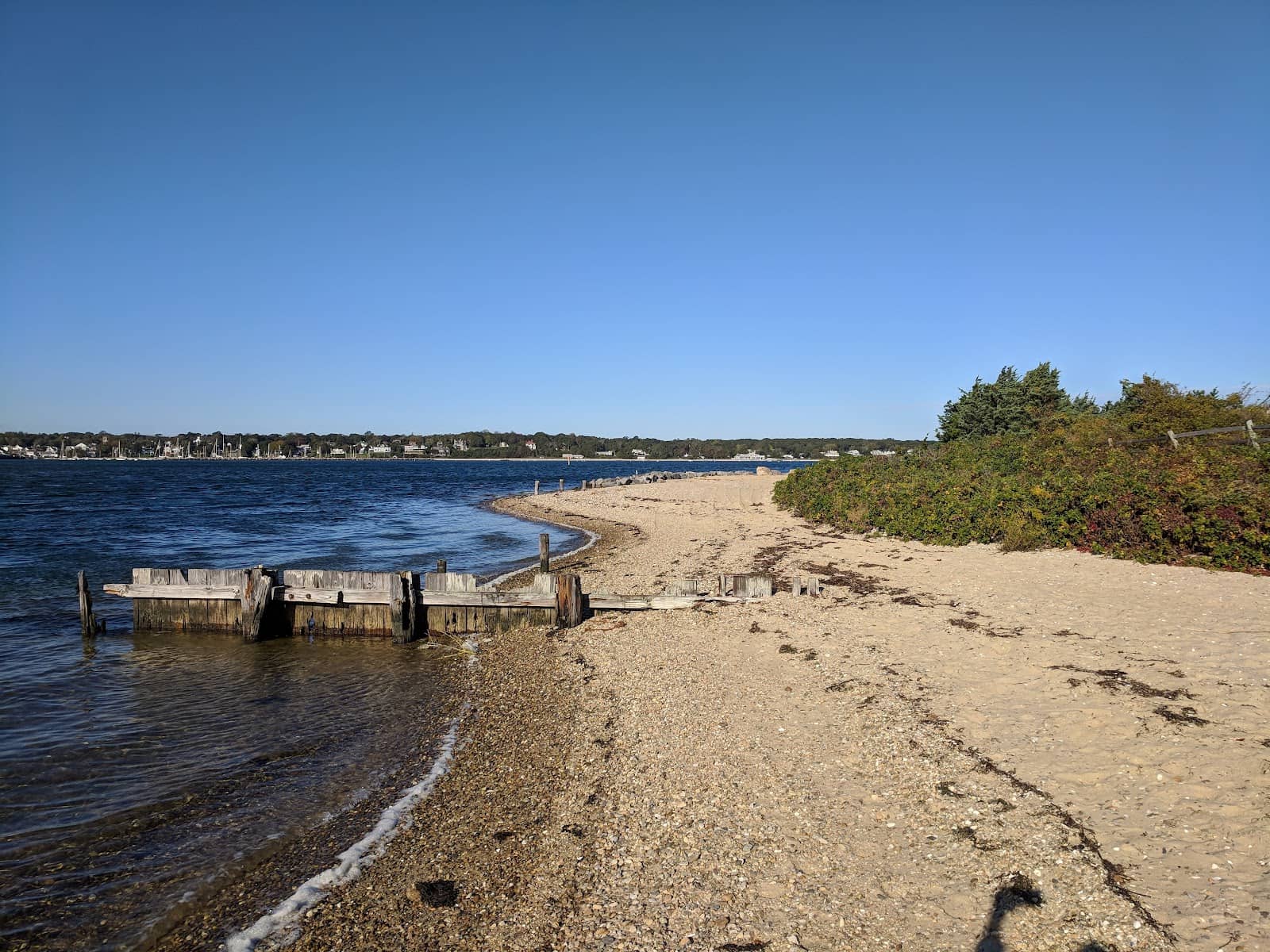 Shell Collecting