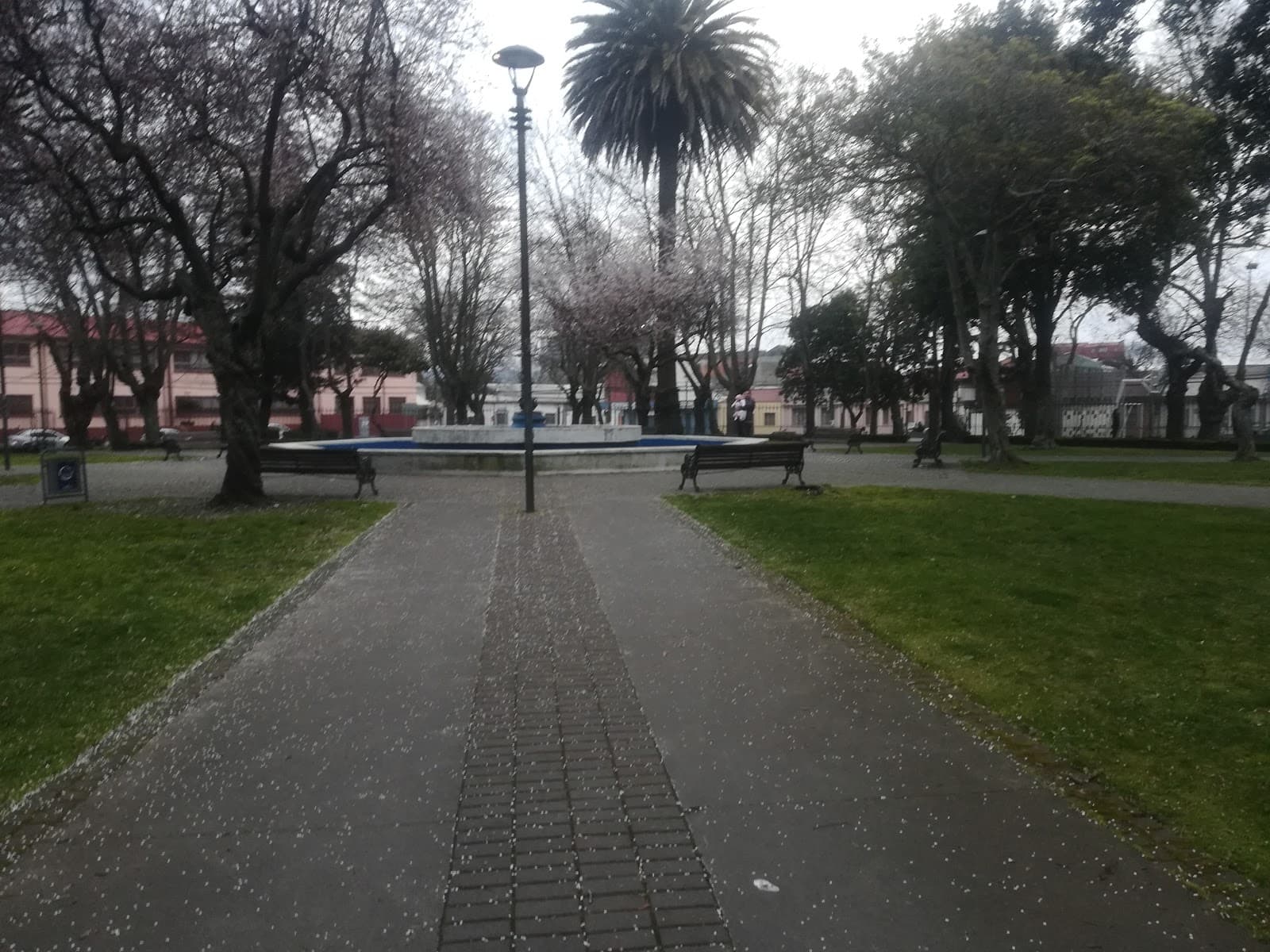 Plaza Cruz - Image 1