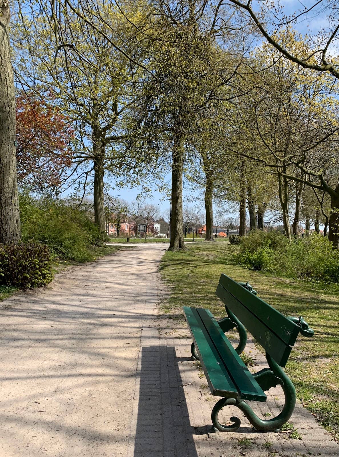 Green Oasis