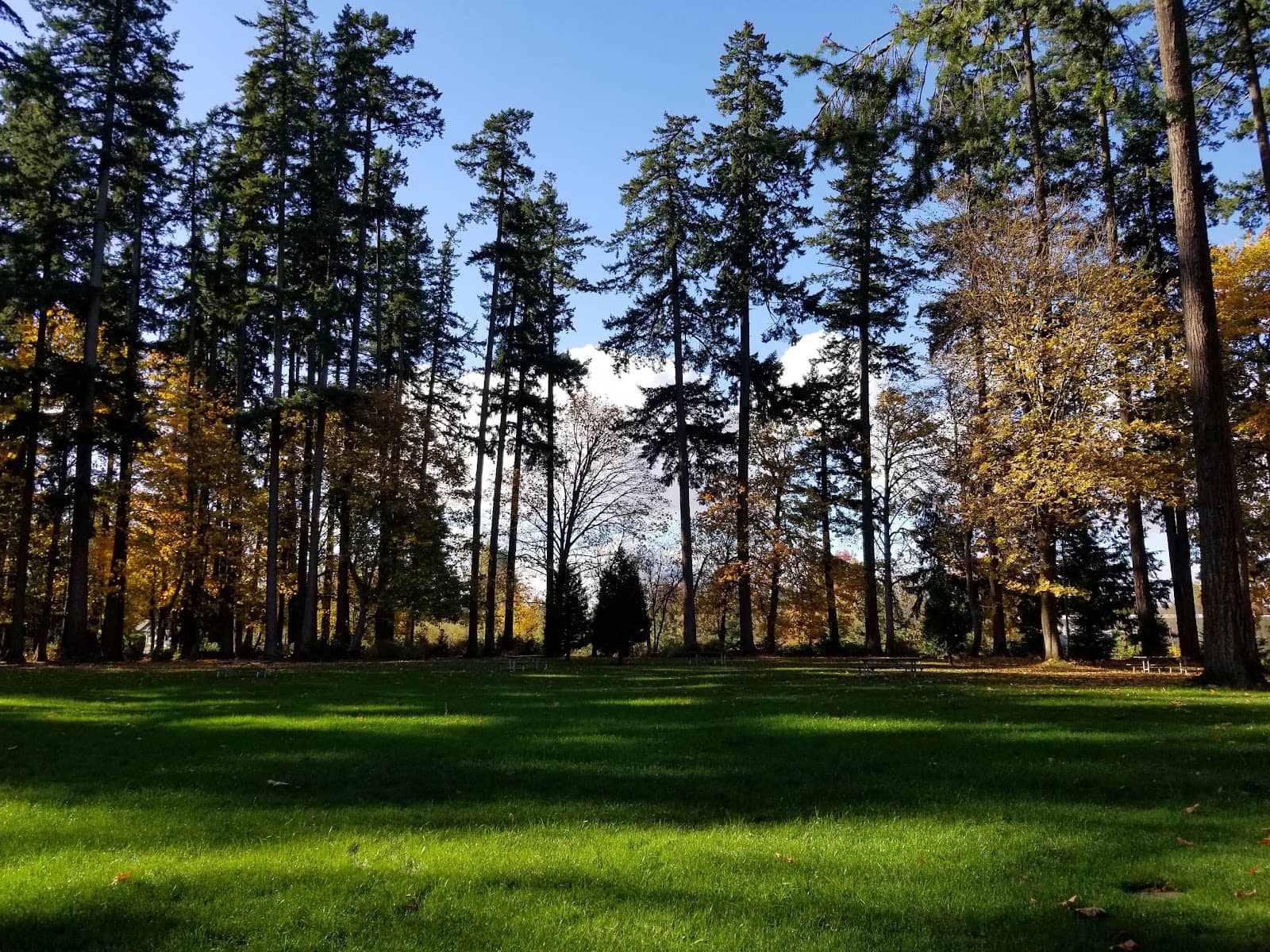 Unique Play & Exercise Zones