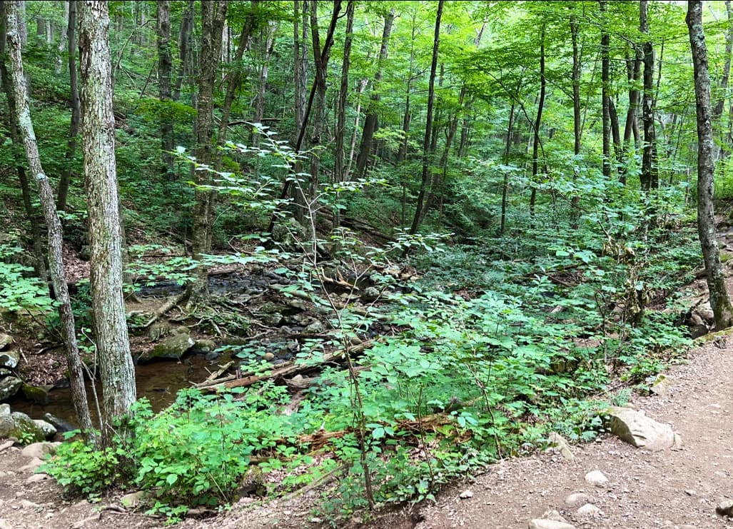 Fishers Gap Overlook - Image 1