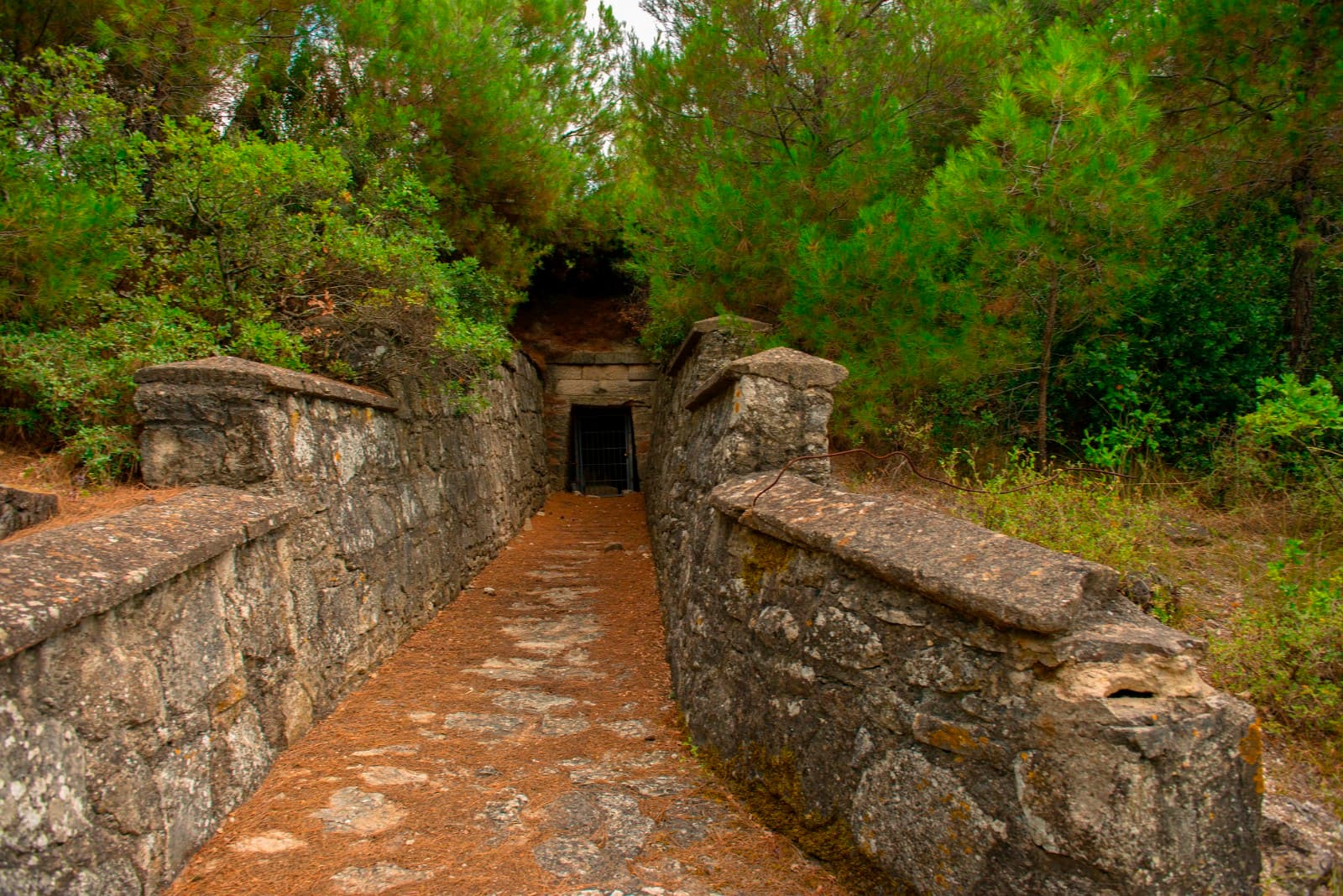 Dardanos Tumulus - Image 1