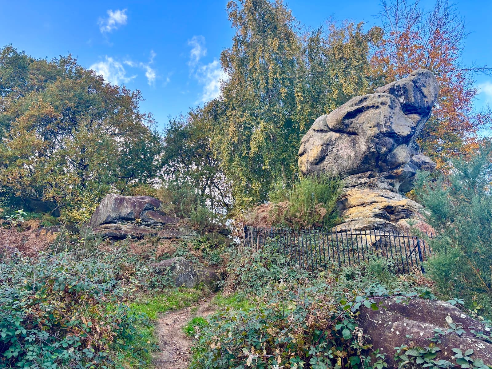 Toad Rock - Image 1