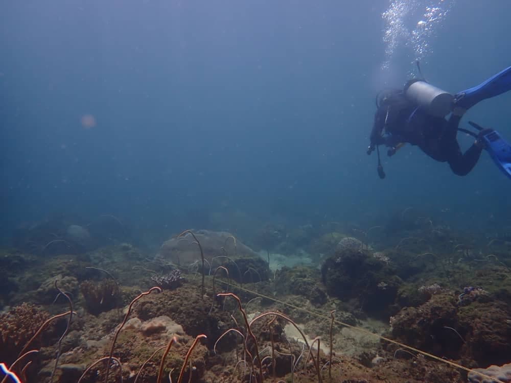 Miri-Sibuti Coral Reefs Marine Park - Image 1