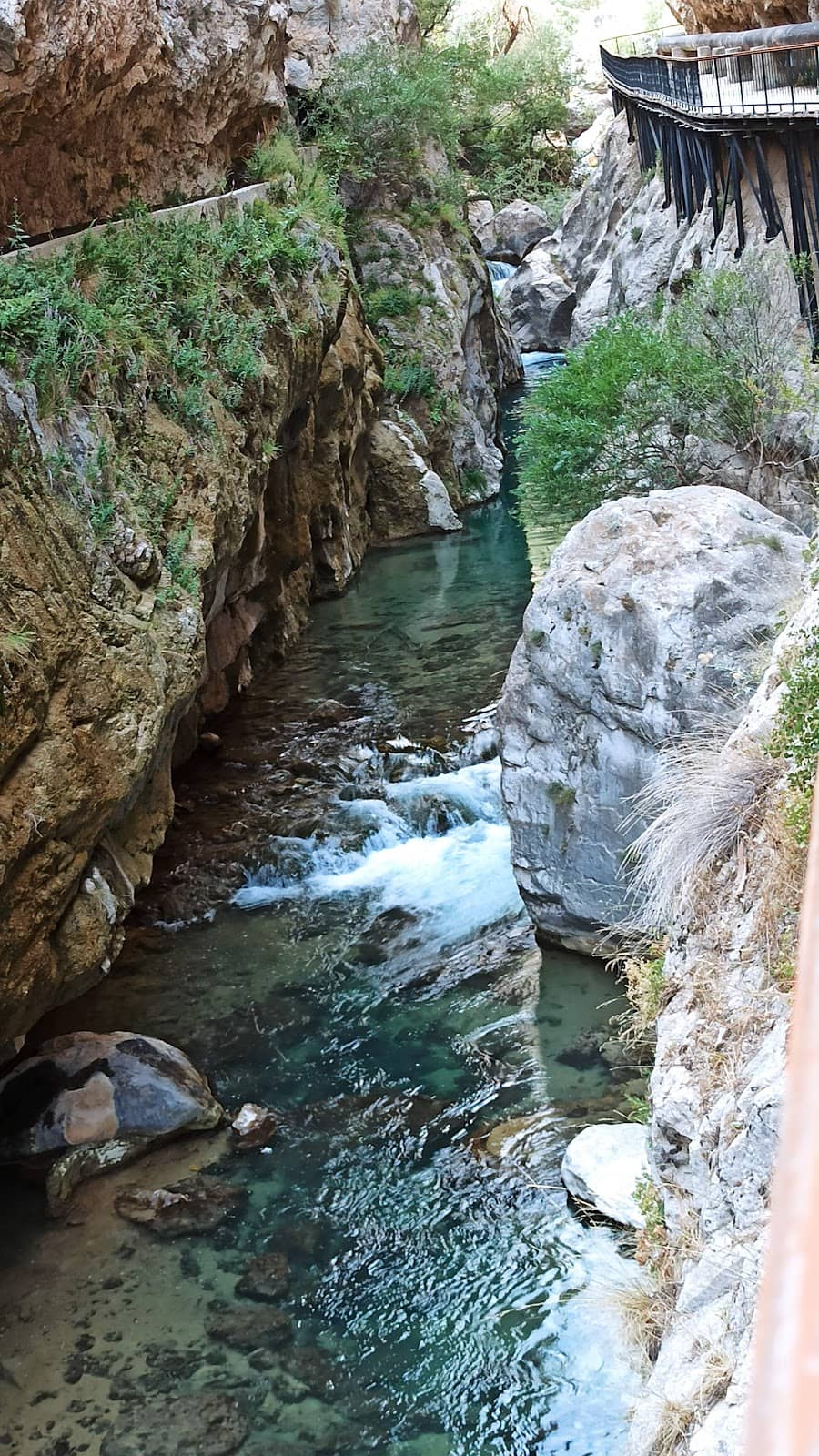 Vertical photo