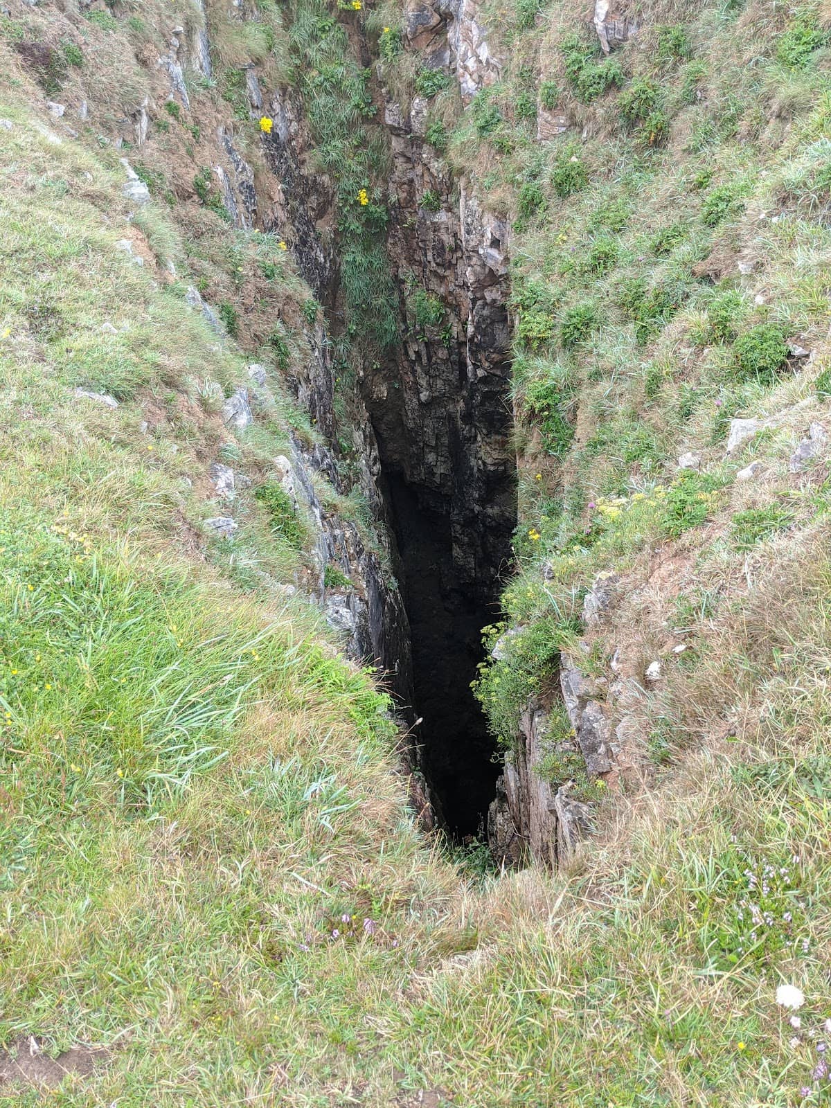 Vertical photo