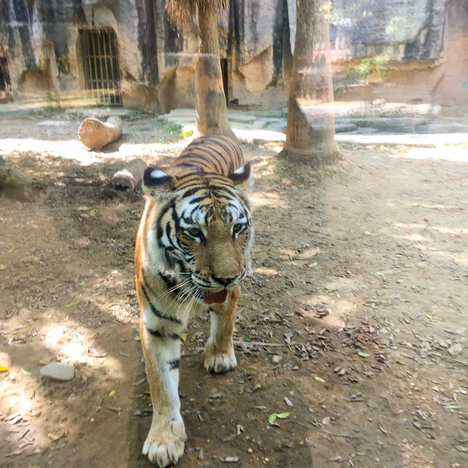 Nanning Zoo - Image 1