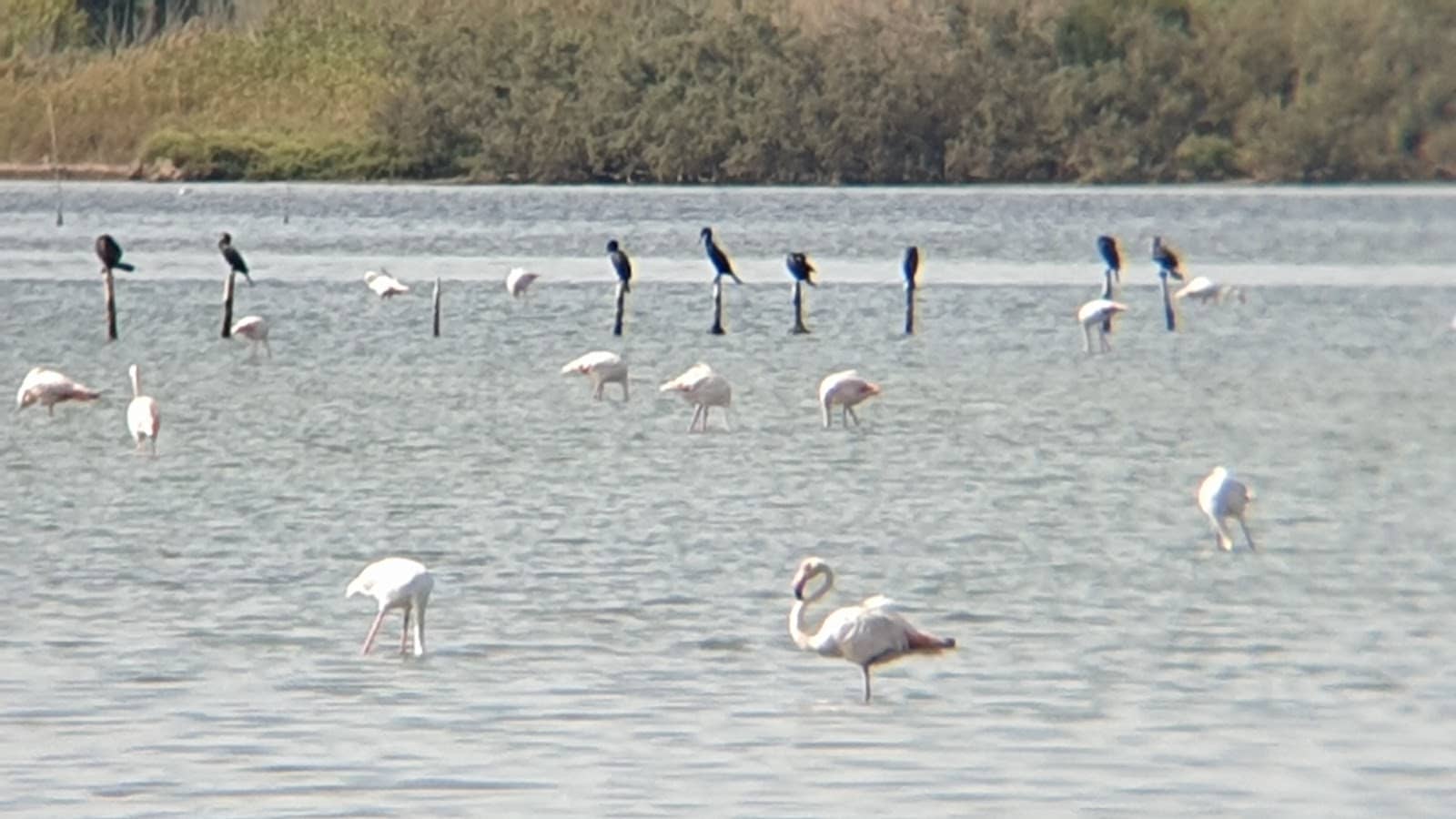 Highlights