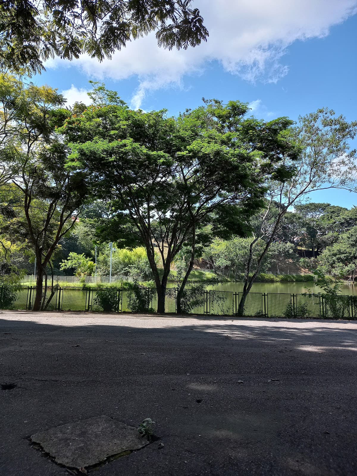 Parque Centenário Varginha Minas Gerais Brazil - Image 1