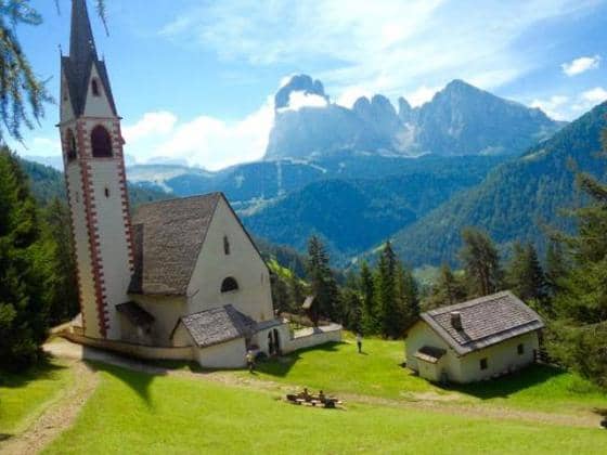 The Vast Alpine Meadow