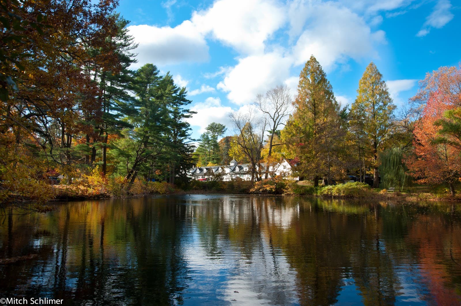 Bailey Arboretum - Image 1