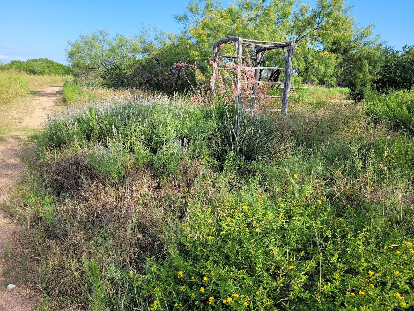 Acton Nature Center of Hood County - Image 1