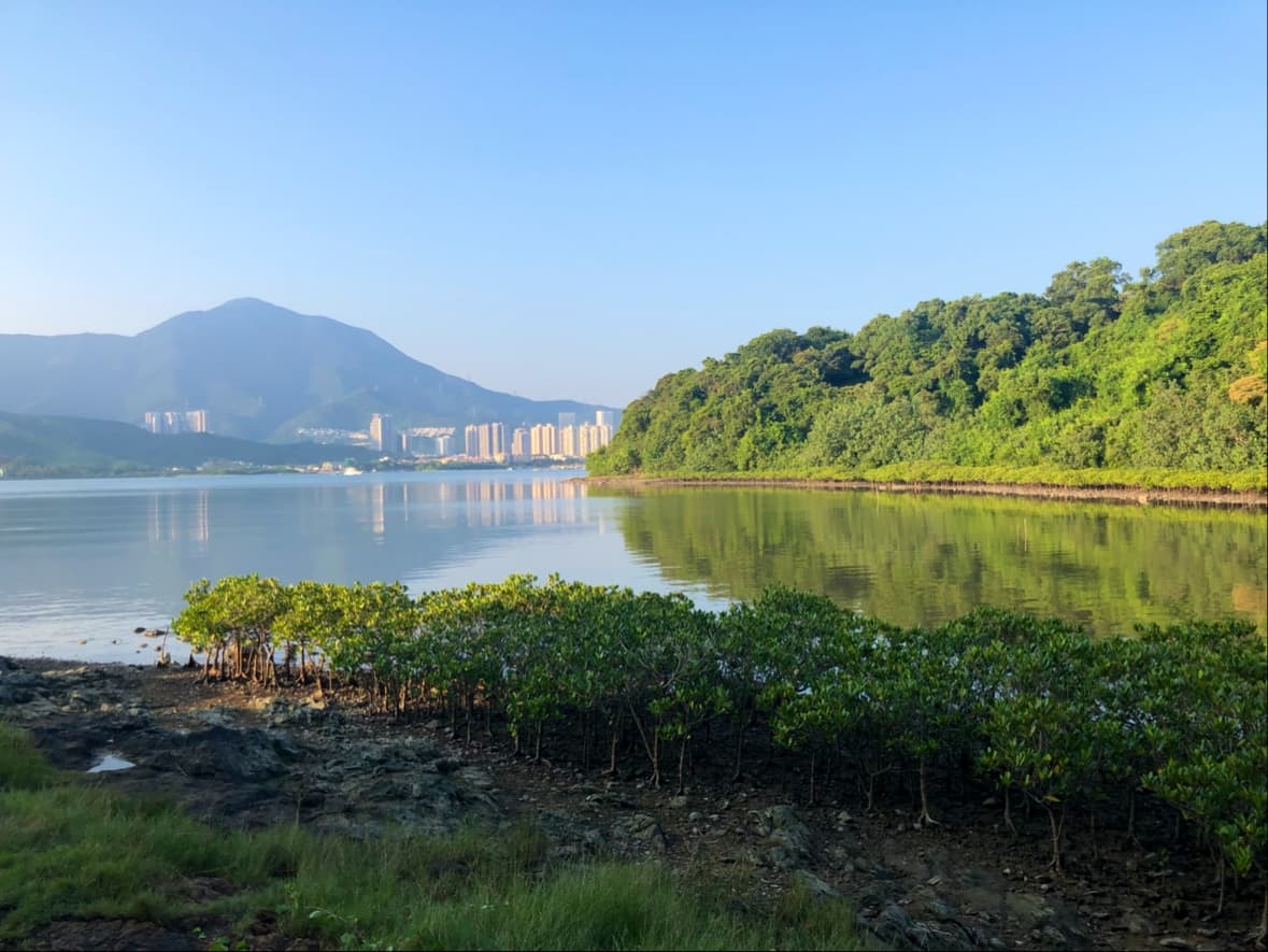 Tung Lung Chau Coastal Path - Image 1